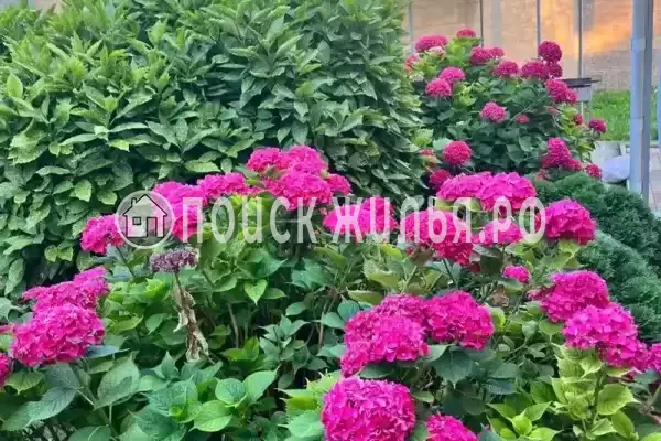 Частный сектор «Дом на Сочинском шоссе», Лазаревское