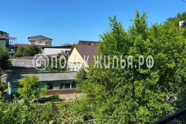 «Дарья», Солоники «Дарья», Солоники