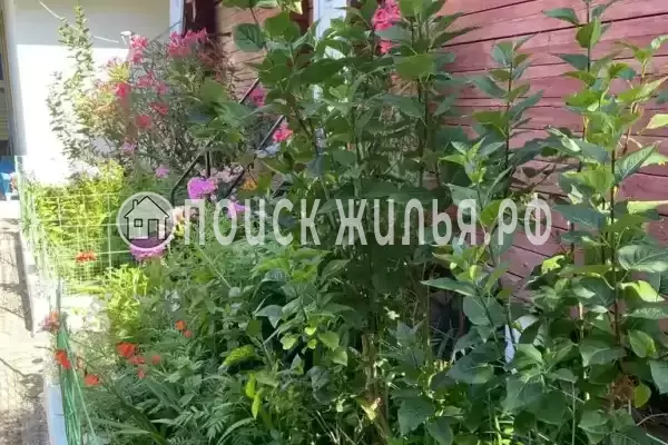 «Дарья», Солоники «Дарья», Солоники