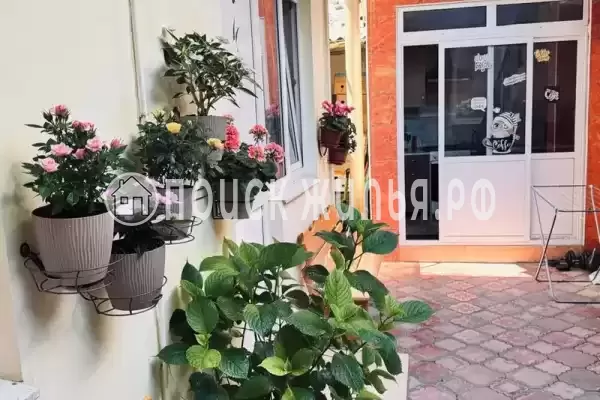 «Ласточка», Лазаревское «Ласточка», Лазаревское