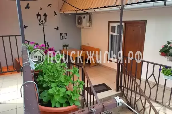 «Ласточка», Лазаревское «Ласточка», Лазаревское