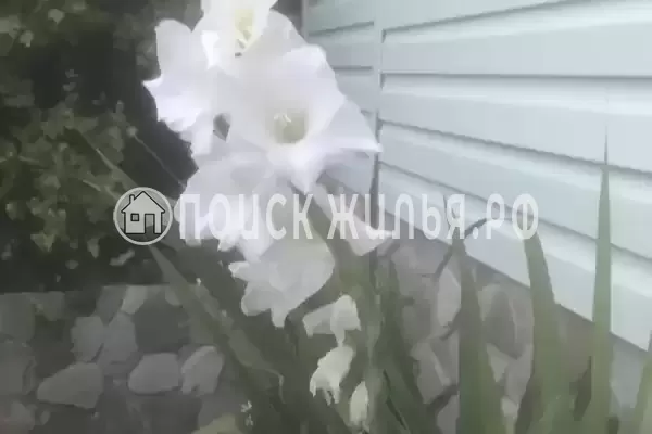 «Отдых у Захара Ильича», Архипо-Осиповка