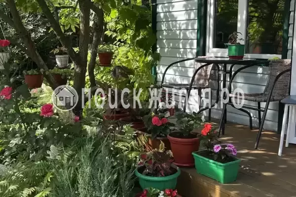 «У Вероники», Лермонтово