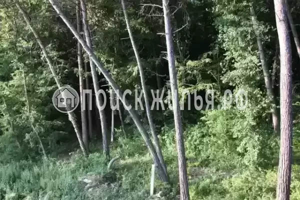 Частный сектор «Сосновый Бор», Лазаревское