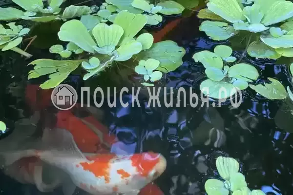 Частный сектор «Сибиряк», Лазаревское