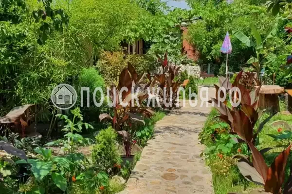 «Орион», Ольгинка