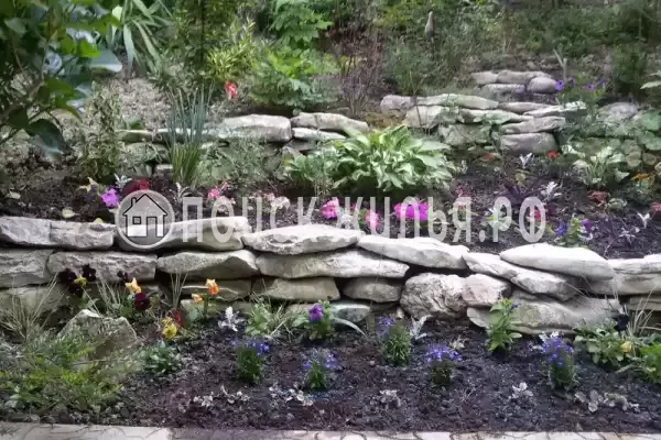 «Эвкалипт», Лоо