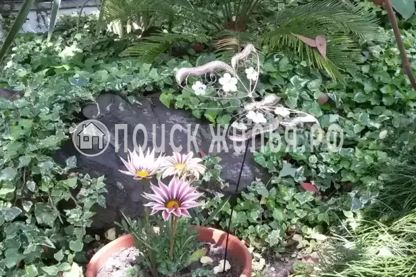 «Эвкалипт», Лоо