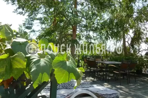 «Эвкалипт», Лоо