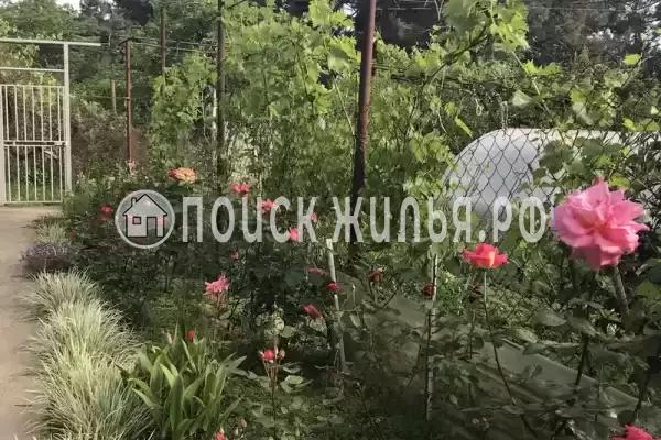 «Зара», Лазаревское