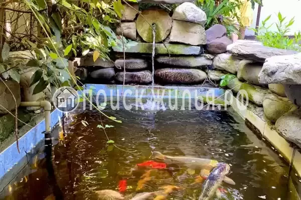 «Viktori», Лазаревское