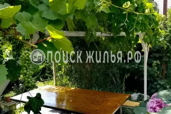 «Viktori», Лазаревское