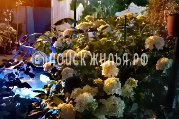 «У моря», Лазаревское