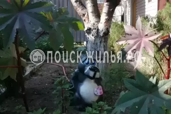 «У Татьяны», Анапа