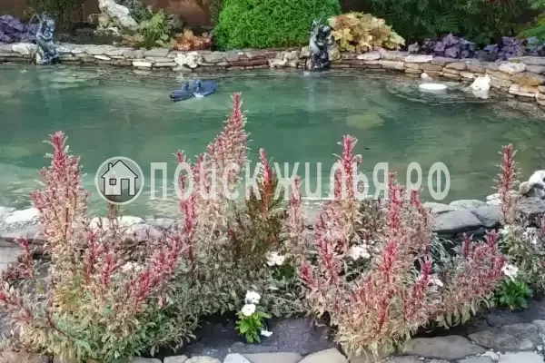 Частный сектор «Лето», Архипо-Осиповка