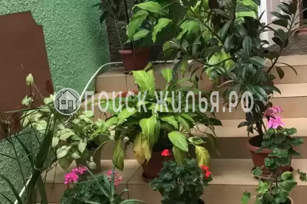 Квартира, Самбурова, д.190, Анапа