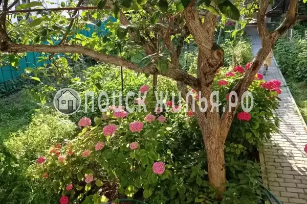 «Любушка», Лазаревское