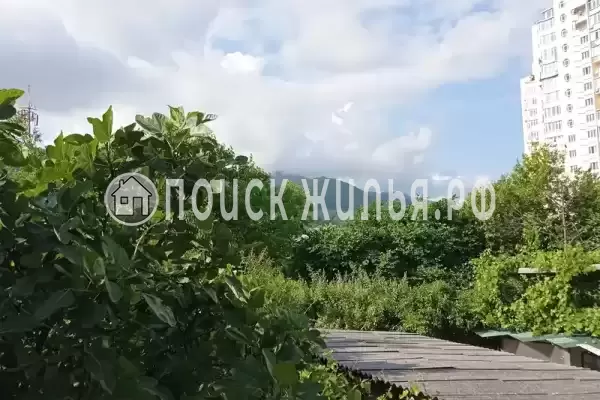 «Любушка», Лазаревское