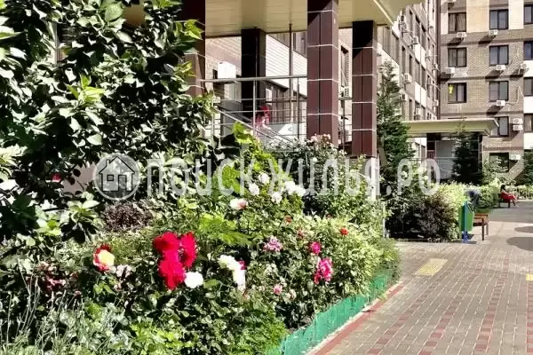 Квартира «С видом на море» Квартира «С видом на море»