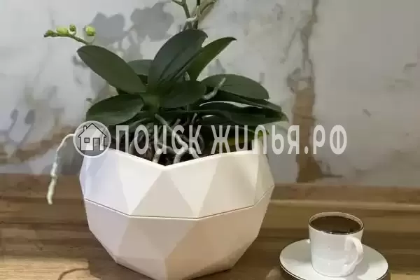 Квартира «На Владимирской 55 в» Квартира «На Владимирской 55 в»