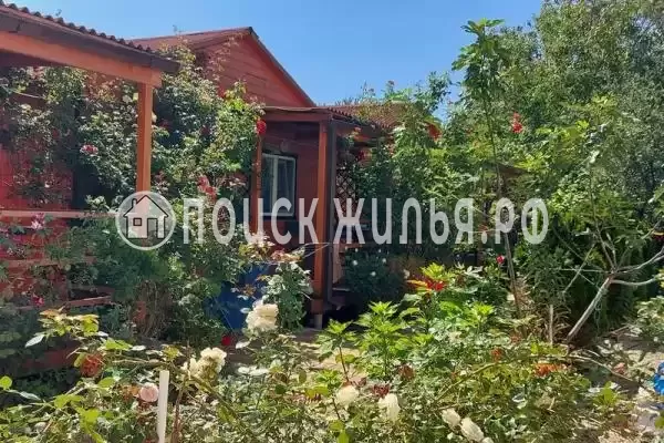 «Белые ночи» «Белые ночи»