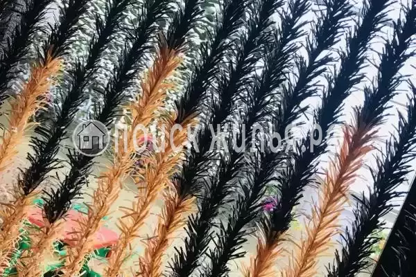 Частный сектор «Дом у моря Марина» Частный сектор «Дом у моря Марина»