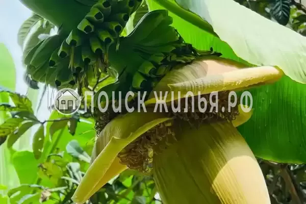 Частный сектор «Коттедж под ключ»