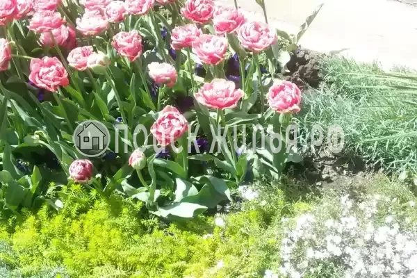 Частный сектор «Надежда»