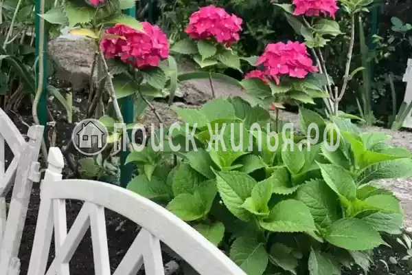 Дом под ключ «Сосновый бор» Дом под ключ «Сосновый бор»