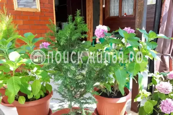 Дом под ключ «В центре»