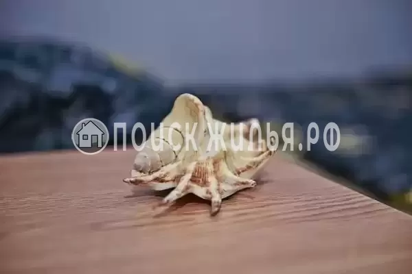 «Волна» «Волна»