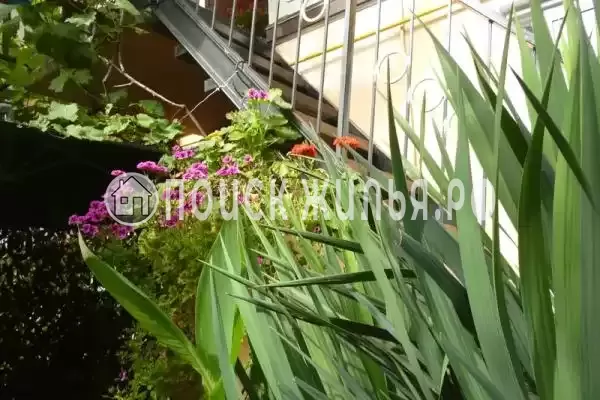 Частный сектор «Трехкомнатный коттедж»