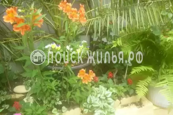 Частный сектор «Трехкомнатный коттедж»