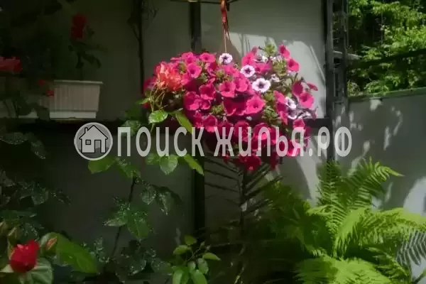 Частный сектор «Трехкомнатный коттедж»