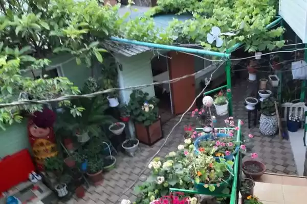 Частный сектор «Журавлики» Частный сектор «Журавлики»