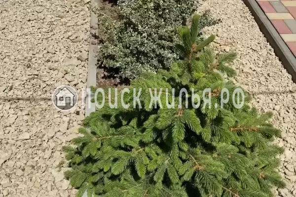 Частный сектор «На Лиловой-2» Частный сектор «На Лиловой-2»