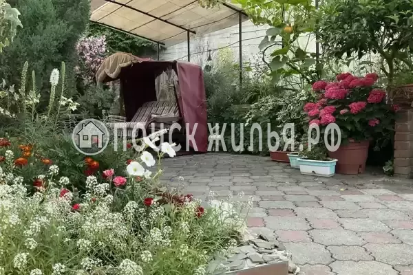 «Светлая» «Светлая»