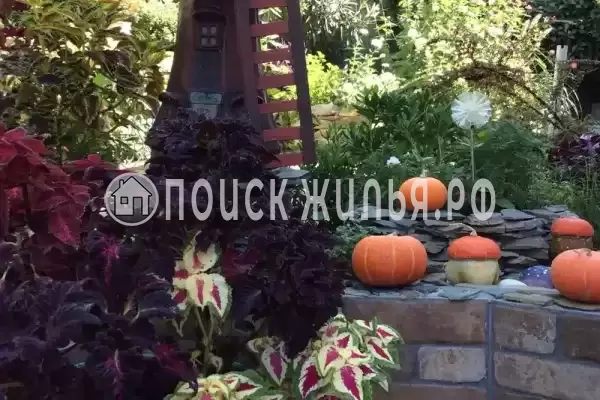 «Светлая» «Светлая»