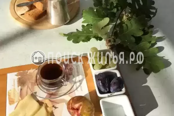 «Светлая» «Светлая»