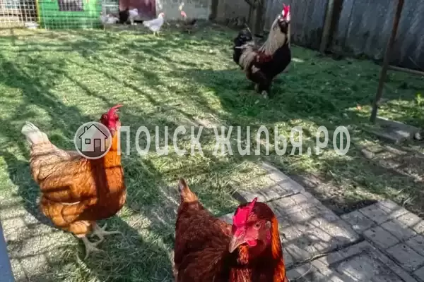 Дом под ключ «Коттедж Светлана» Дом под ключ «Коттедж Светлана»