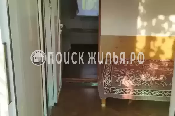 «Рыжий кот»