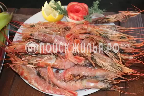 «K.V.N.» «K.V.N.»