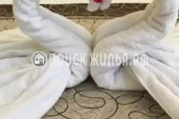 «K.V.N.» «K.V.N.»