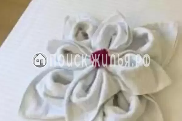 «K.V.N.» «K.V.N.»