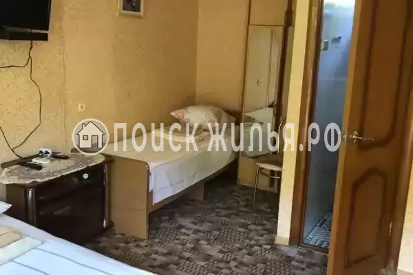 «Лесная сказка» «Лесная сказка»