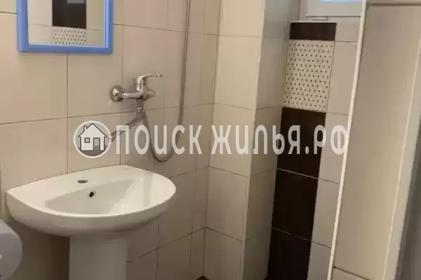 «Виноградная лоза» «Виноградная лоза»