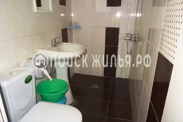 «Виноградная лоза» «Виноградная лоза»