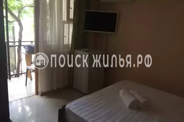 «Виноградная лоза» «Виноградная лоза»