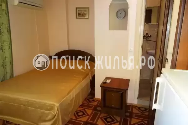 «Виноградная лоза» «Виноградная лоза»