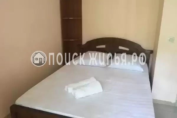 «Виноградная лоза» «Виноградная лоза»